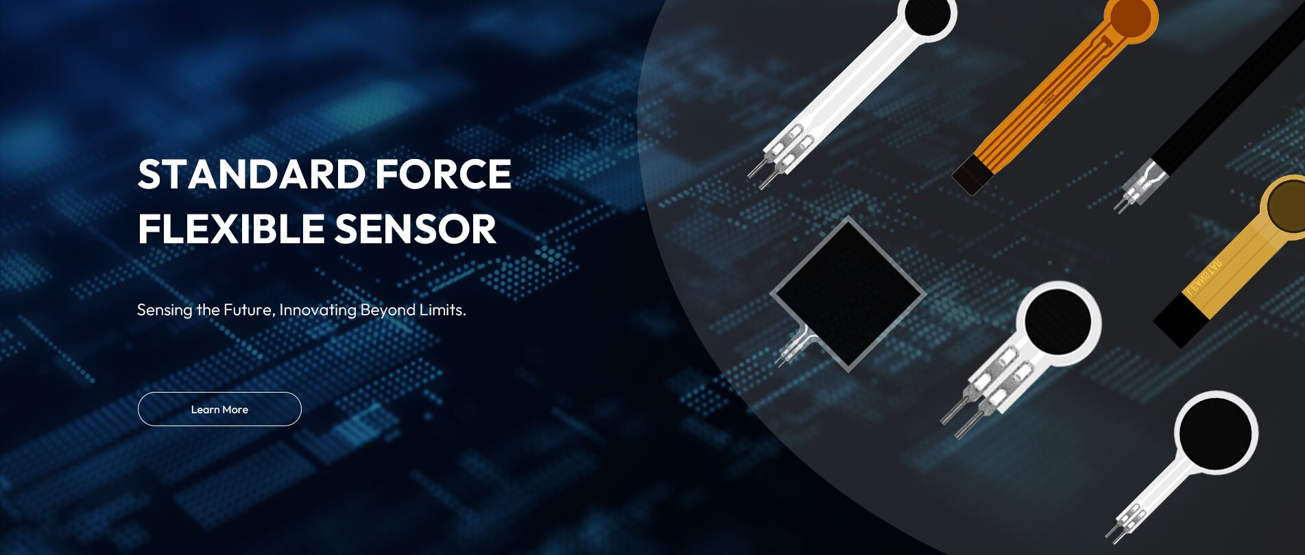 Suzhou Leanstar Electronics Technology Co., Ltd.